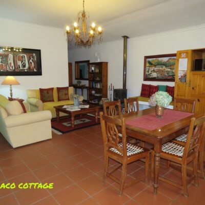 Kitchen & Lounge